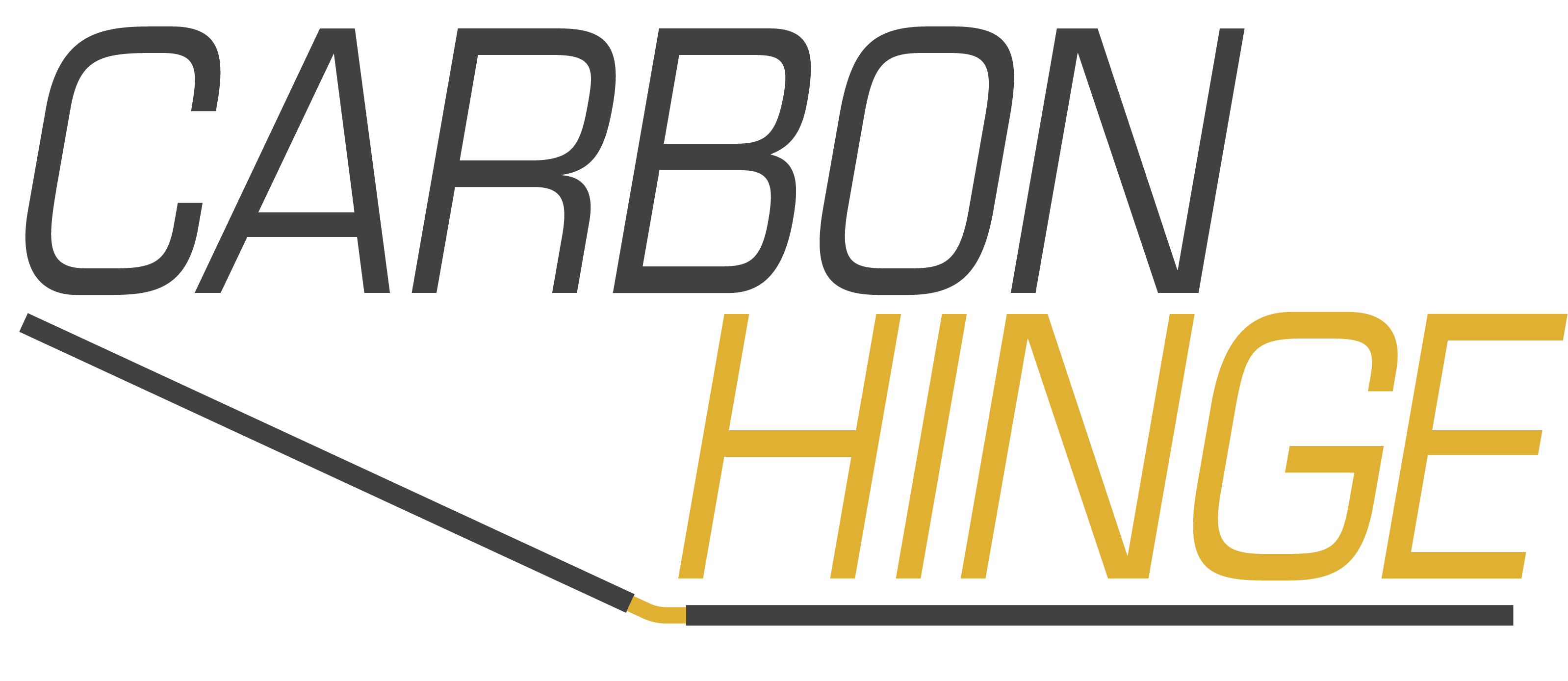 Carbon Hinge